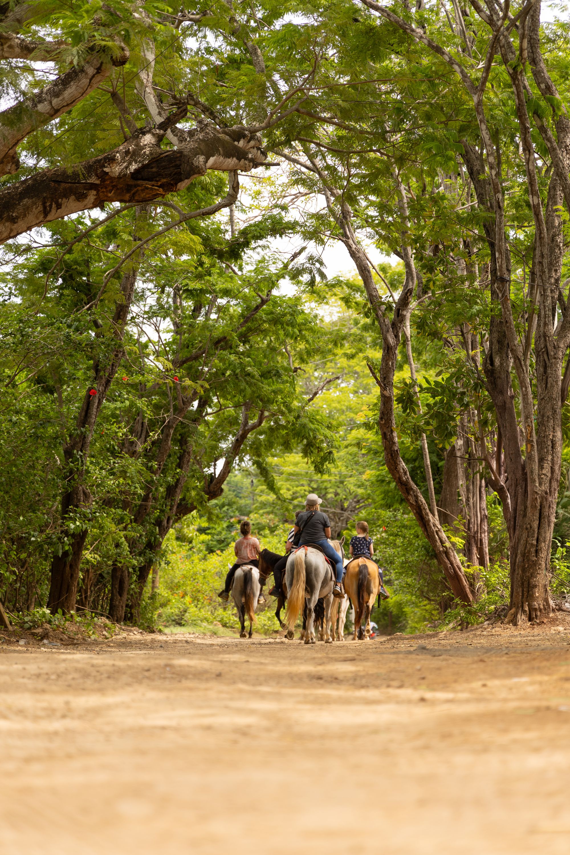 Riders on the trails behind town