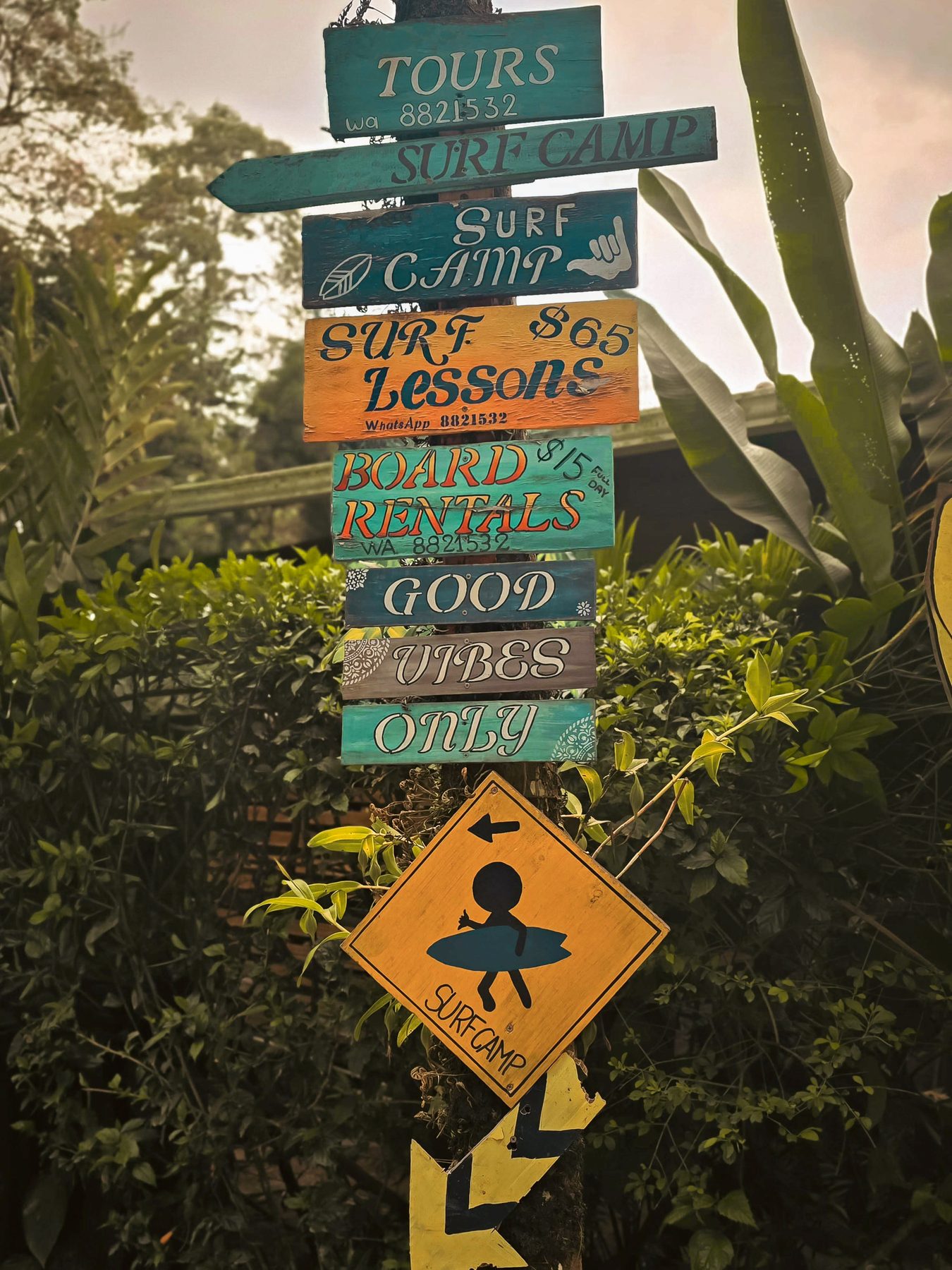 Hand-painted signs for surf lessons and board rentals